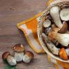 Как хранить сухие грибы в домашних условиях