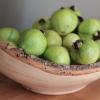 Gvajaves augļi: derīgās īpašības, kontrindikācijas, kā ēst gvajavu