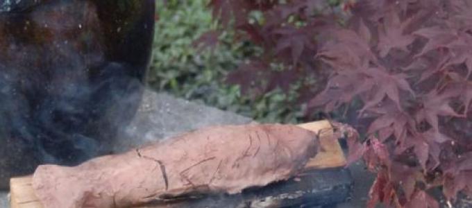 Kā pareizi pagatavot zivis uz uguns kempinga laikā?