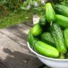 How to store cucumbers so that they remain fresh for a long time?