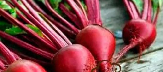 The best recipes for beet dishes Beet salad what to dress with